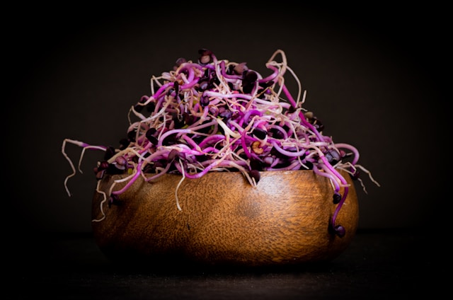 Articol Morkalmaventia